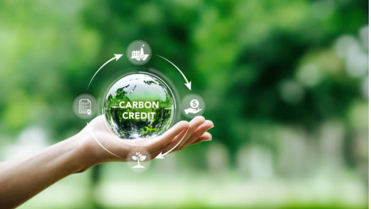 carbon finance