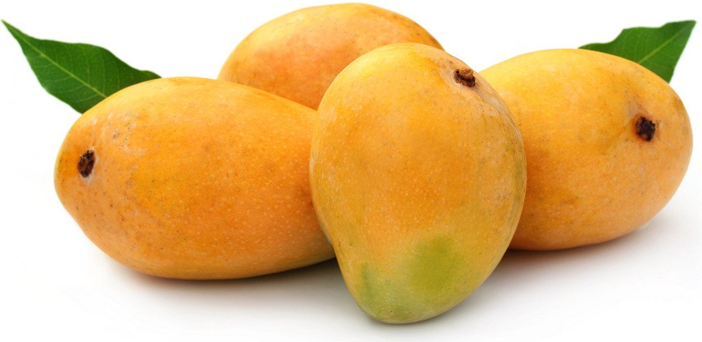 State level Mango Festival