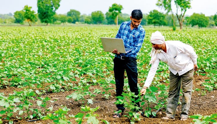 India's agricultural powerhouse