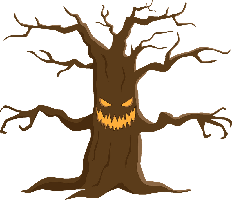 Delhi’s ‘Haunted’ Tree