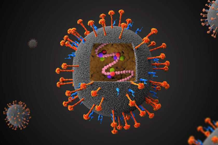 Nipah Virus Alert in Kerala