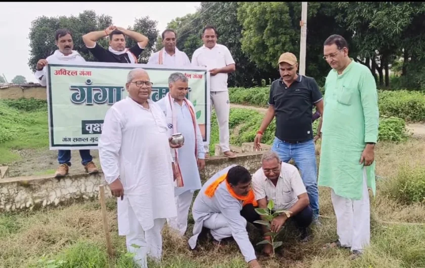 Tree Plantation Drive
