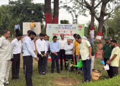 Rudraksha Saplings Planted at Rohilkhand University on World Environment Day