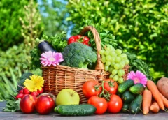 Centre Announces Clean Plant Centre for Lucknow to Boost Horticulture Growth in Uttar Pradesh