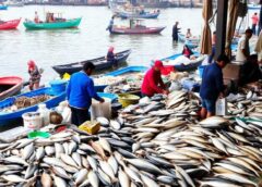MoU with WorldFish approved, Fisheries to get a boost