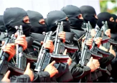 NSG Regional Centre to be established in Ayodhya, Yogi Cabinet approves free allotment of 26 Hectares of land