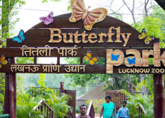 Wildlife Week to Be Observed Across Uttar Pradesh from October 2 to 8